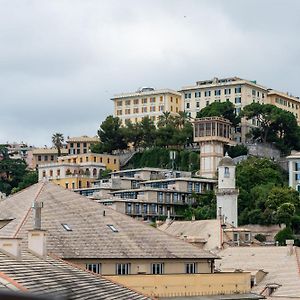 Luccoli31